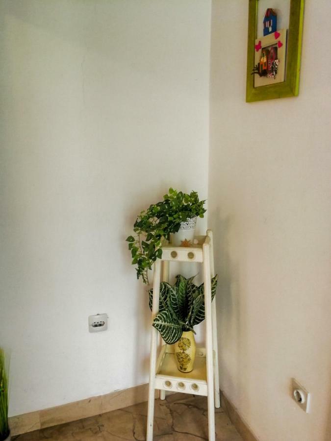 Apartman Damir Sumartin Buitenkant foto