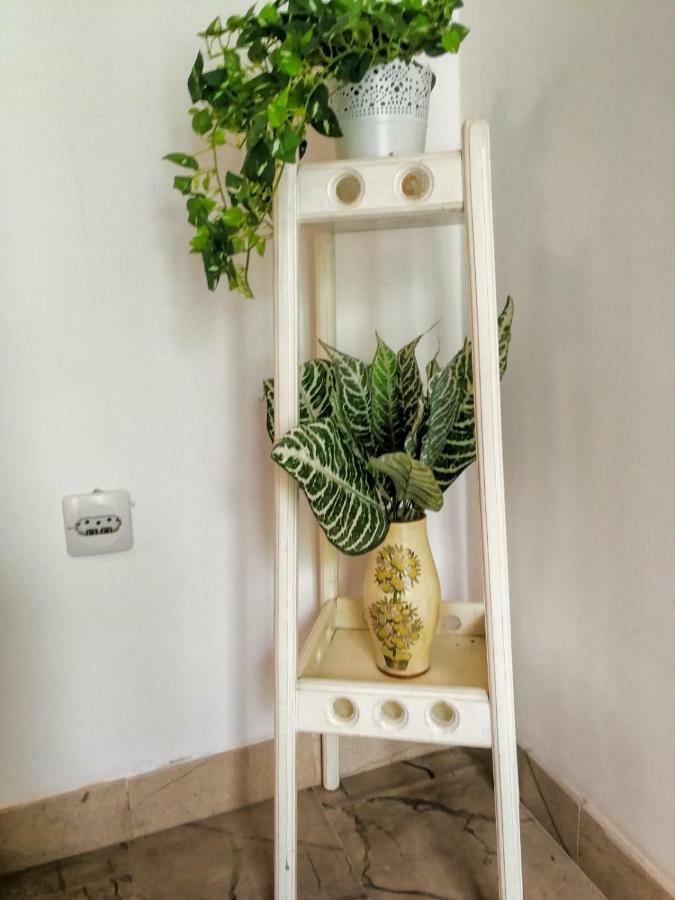 Apartman Damir Sumartin Buitenkant foto